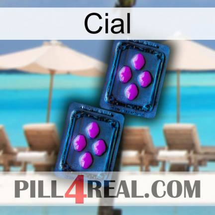 Cial 03
